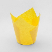Бумажная капсула Тюльпан желтый 10 шт